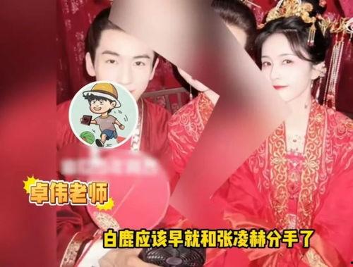 白鹿爆料视频在线观看,揭秘幕后真相，带你走进事件核心  第2张